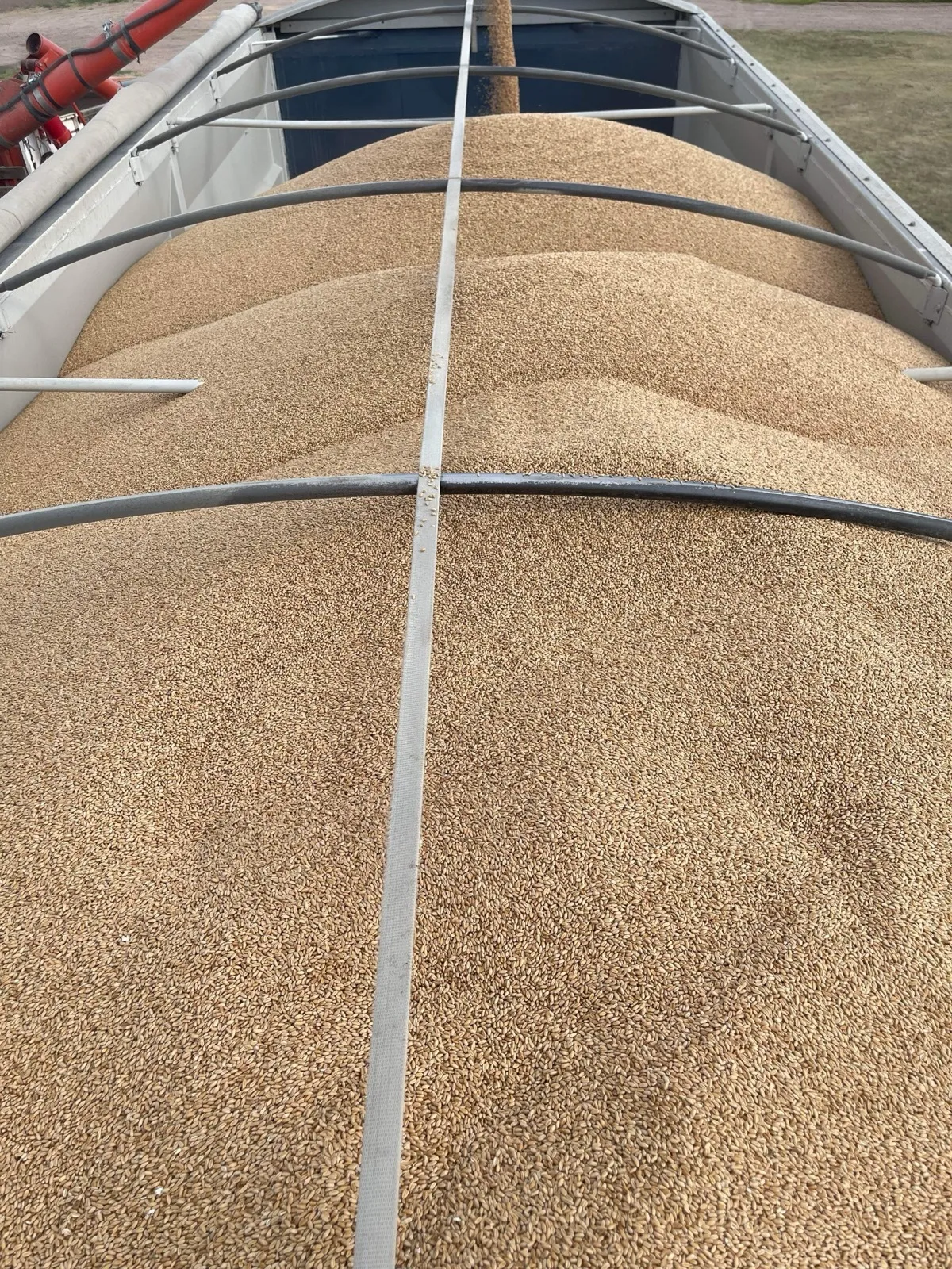 Gallery Image: Golden Waves llc Mobile Grain Cleaning